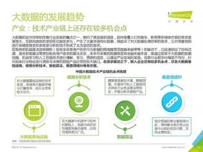 2016年中国数据驱动型互联网企业大数据产品研究报告